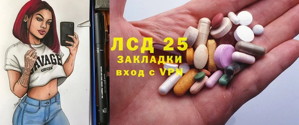 стаф Новозыбков