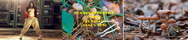 дистиллят марихуана Алзамай